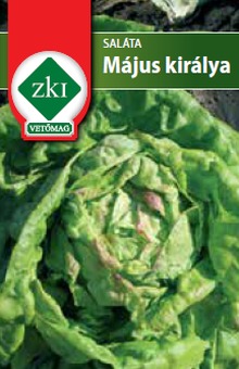 ZKI-salata-majus-kiralya